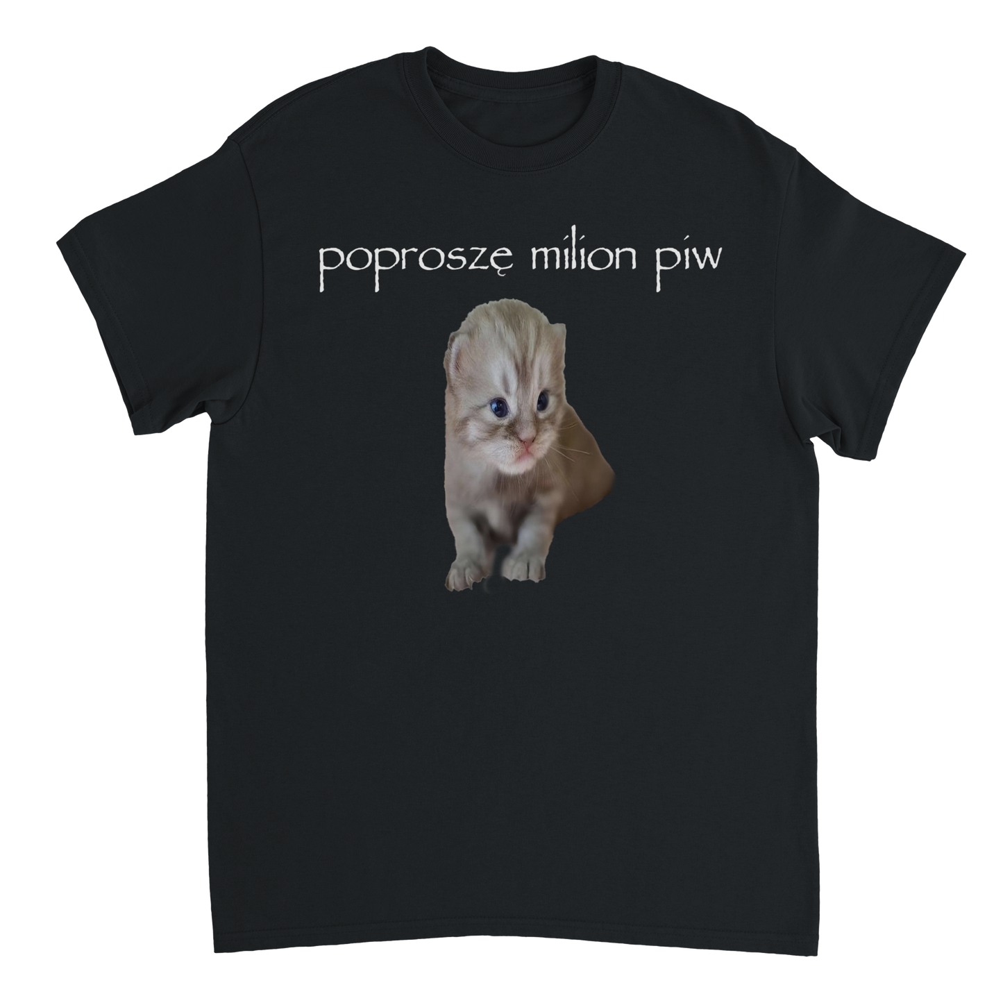 poproszę milion piw T-shirt
