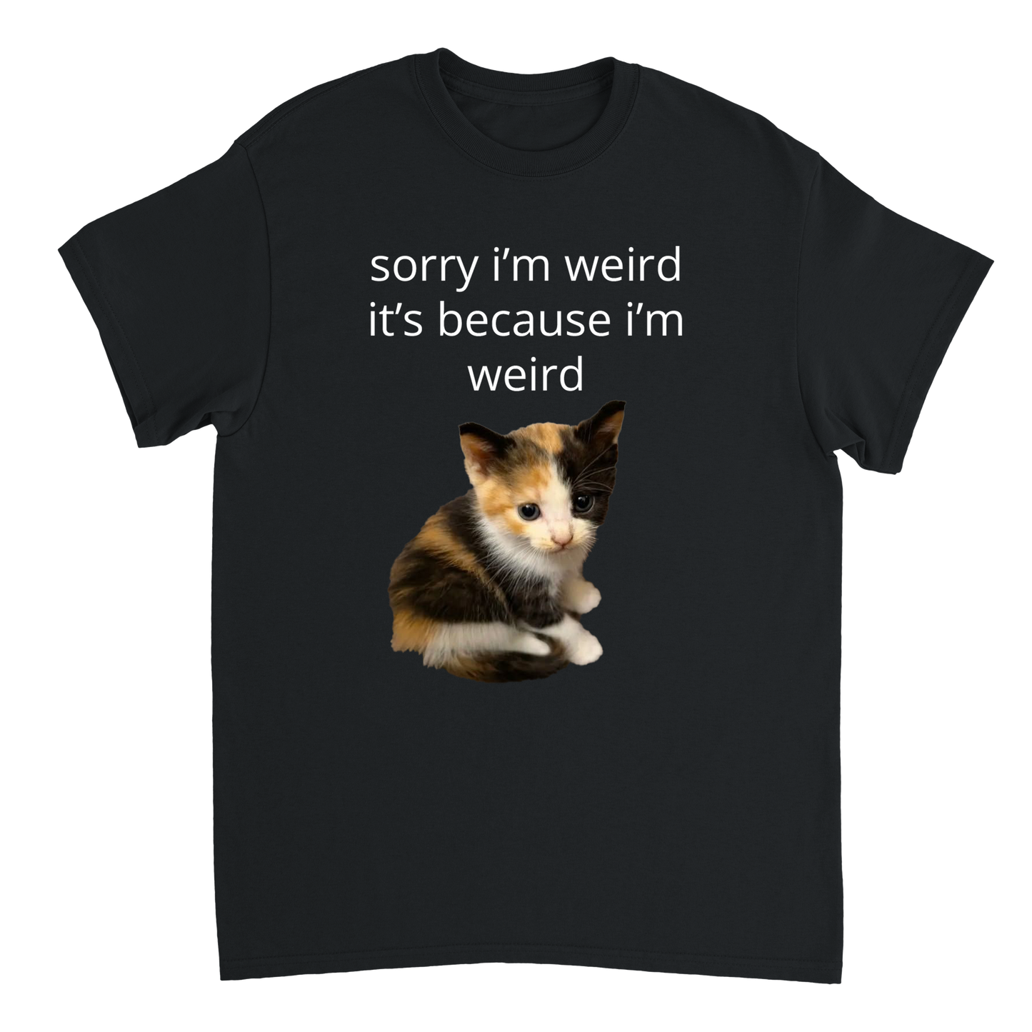 sorry i'm weird T-shirt